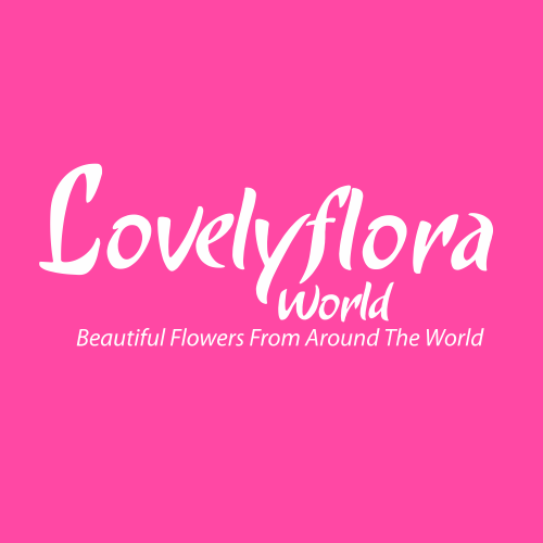 Lovely Flora World discount